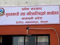 पत्रकारलाई सामाजिक सुरक्षा कोष र बिमा जोड्दै बागमती प्रदेश सरकार पत्रकारलाई सामाजिक सुरक्षा कोष र बिमा जोड्दै बागमती प्रदेश सरकार