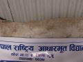 संयुक्त कक्षामा कोचिएर पढ्छन विद्यार्थी, शौच गर्न खेतबारीतिर दौडिन्छन्