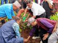 सामुदायिक वनमा एक हजार सात सय रुद्राक्ष रोपियो