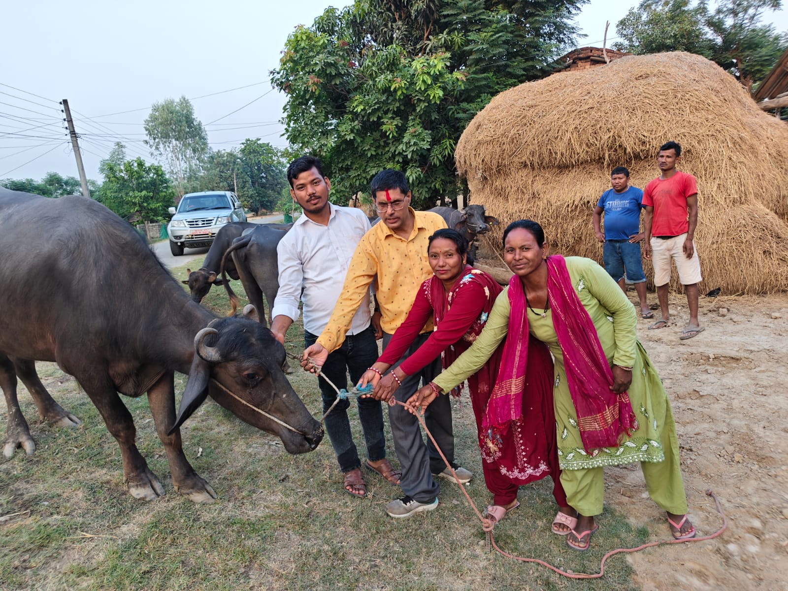 जीविकोपार्जनमा ‘भैँसीपालन कार्यक्रम’ सञ्चालन
