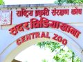सदर चिडियाखानामा बर्डफ्लु नियन्त्रणमा