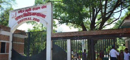 बर्डफ्लु सङ्क्रमणपछि जावलाखेल चिडियाखाना दुई साताका लागि बन्द