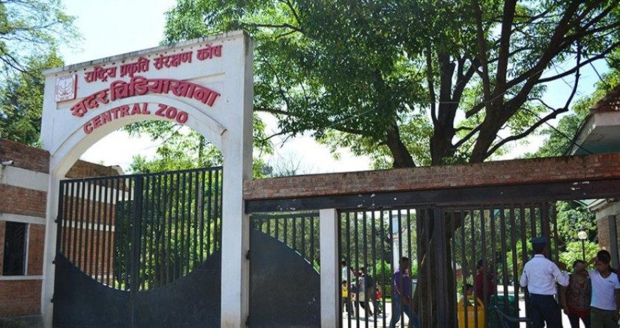बर्डफ्लु सङ्क्रमणपछि जावलाखेल चिडियाखाना दुई साताका लागि बन्द