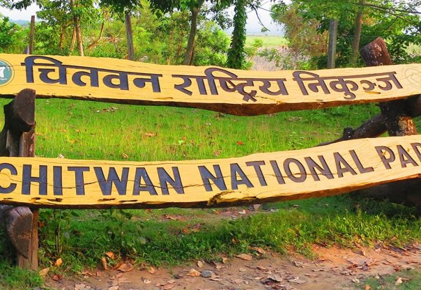 निकुञ्ज घुम्न आउने आन्तरिक पर्यटक बढे निकुञ्ज घुम्न आउने आन्तरिक पर्यटक बढे