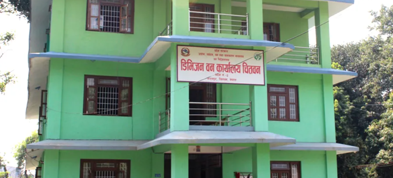 पुराना काठ व्यवस्थापन गर्दै डिभिजन वन कार्यालय