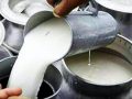 दूधमा आत्मनिर्भर बन्दै बागलुङ