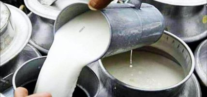 दूधमा आत्मनिर्भर बन्दै बागलुङ