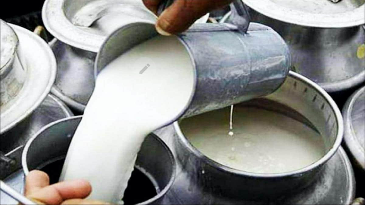 दूधमा आत्मनिर्भर बन्दै बागलुङ