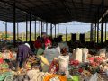 फोहरबाट रोजगारी र आम्दानी फोहरबाट रोजगारी र आम्दानी