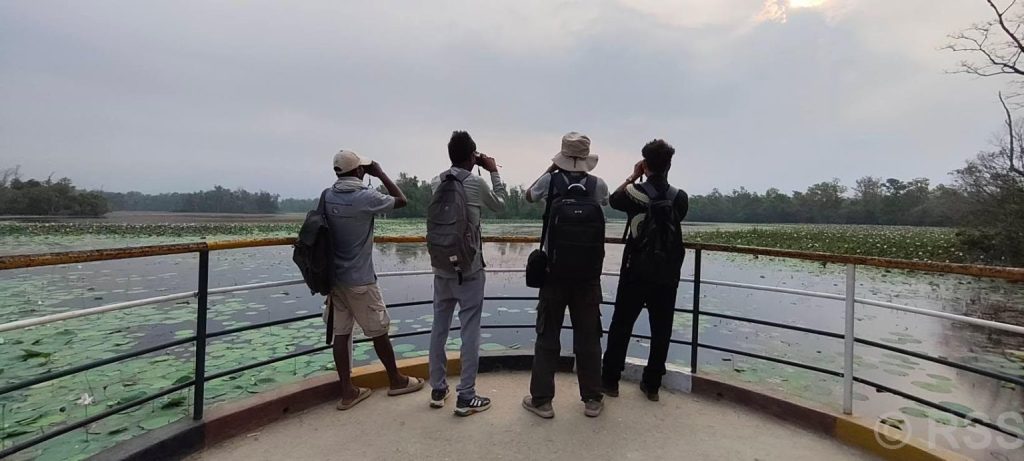 घोडाघोडी सिमसार क्षेत्रमा सूचक प्रजाति हरिहाँसको गणना सुरु