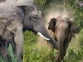 बाहुनडाँगी क्षेत्रका बासिन्दाद्वारा जीवन रक्षाको माग बाहुनडाँगी क्षेत्रका बासिन्दाद्वारा जीवन रक्षाको माग