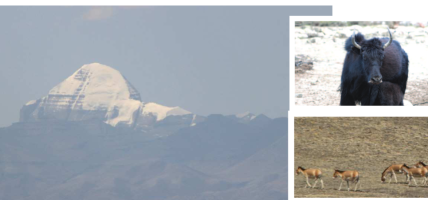 हुम्लाको टाक्चीमा लिमी रिसोर्ट