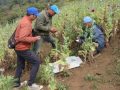 लागुऔषध दुरुपयोग तथा अवैध ओसारपसारविरुद्धको अन्तरराष्ट्रिय दिवस आज