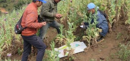 लागुऔषध दुरुपयोग तथा अवैध ओसारपसारविरुद्धको अन्तरराष्ट्रिय दिवस आज