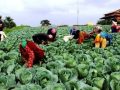 देशभरका २६ लाख किसानको सूचीकरण सम्पन्न