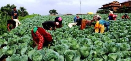 देशभरका २६ लाख किसानको सूचीकरण सम्पन्न