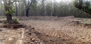 ‘एक सामुदायिक वन–एक संरक्षण पोखरी’ कार्यक्रम