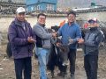 घरपझोङद्वारा किसानलाई अनुदानमा याक र नाक वितरण