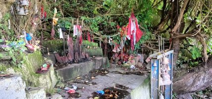 प्रचार नहुँदा ओझेलमा ऐरम्बास शारदादेवी