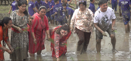 धान दिवसलाई कलाकारले बनाए थप उल्लासमय