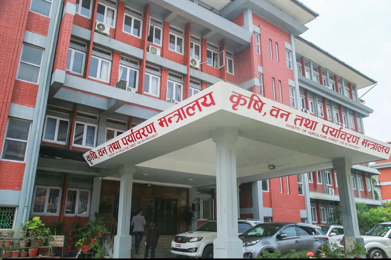 सुदूपश्चिम प्रदेशका २६ पालिकाले उठाएनन् रासायनिक मल, तुरुन्त नलगे डिपोबाटै बिक्री गरिने चेतावनी