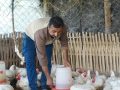 कुखुरापालन व्यवसायबाट यसरी आत्मनिर्भर बने इलामका महेन्द्र