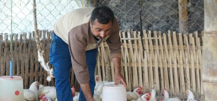 कुखुरापालन व्यवसायबाट यसरी आत्मनिर्भर बने इलामका महेन्द्र