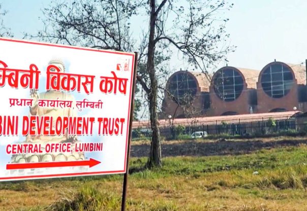 लुम्बिनी विकास कोषका १२ पदमा सात सयभन्दा बढी आवेदन लुम्बिनी विकास कोषका १२ पदमा सात सयभन्दा बढी आवेदन