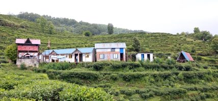 चियाबारीको हरियालीमा फक्रिँदै ल्वाङको पर्यटन