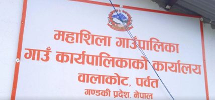 महाशिलाका १५ घरपरिवार गाउँ फर्किएपछि व्यावसायिक खेतीतर्फ