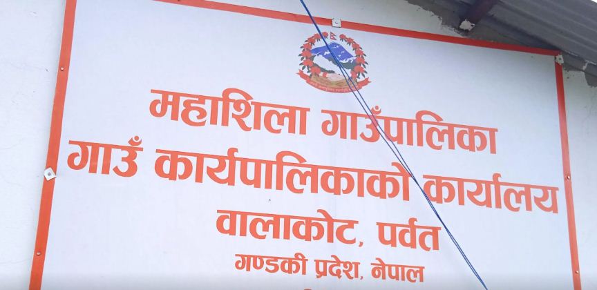महाशिलाका १५ घरपरिवार गाउँ फर्किएपछि व्यावसायिक खेतीतर्फ
