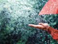 औसत मिति टर्यो : अझै मनसुन भित्रिएन औसत मिति टर्यो : अझै मनसुन भित्रिएन