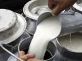 पटनाका दुग्ध उत्पादक किसान चितवनमा
