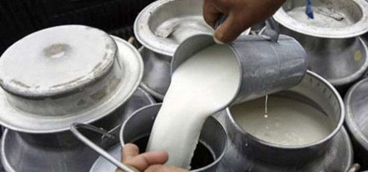 पटनाका दुग्ध उत्पादक किसान चितवनमा