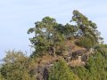 फेदापमा याक्थुङ मुन्धुम, सभ्यता, इतिहास र भाषाबारे भेला