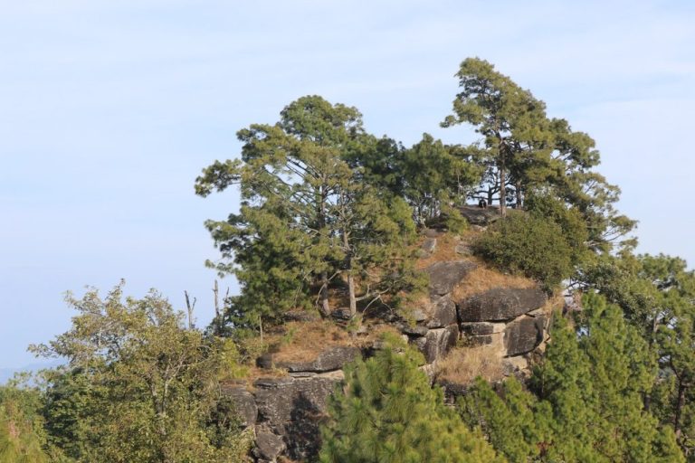 फेदापमा याक्थुङ मुन्धुम, सभ्यता, इतिहास र भाषाबारे भेला फेदापमा याक्थुङ मुन्धुम, सभ्यता, इतिहास र भाषाबारे भेला