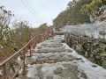 पाथीभरा केवलकार विवाद समाधान खोज्न कार्यदल गठन पाथीभरा केवलकार विवाद समाधान खोज्न कार्यदल गठन