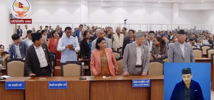 संसद बाहिर के भन्छन् सांसदहरू ? (भिडियो सहित)