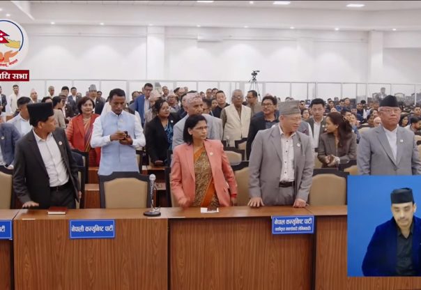 संसद बाहिर के भन्छन् सांसदहरू ? (भिडियो सहित) संसद बाहिर के भन्छन् सांसदहरू ? (भिडियो सहित)
