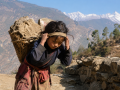 नेपालमा बालश्रम : हिमाली तथा पहाडी दुर्गम क्षेत्रमा अझै जोखिम नेपालमा बालश्रम : हिमाली तथा पहाडी दुर्गम क्षेत्रमा अझै जोखिम