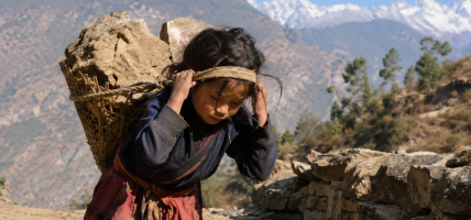 नेपालमा बालश्रम : हिमाली तथा पहाडी दुर्गम क्षेत्रमा अझै जोखिम