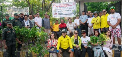 सडक किनारा, पार्क, नदी किनाराहरुमा समी, कपुर, फलफुलका विरुवा रोपिए