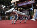विद्यार्थीका ५५ बढी टेक परियोजना प्रदर्शनीमा, लगानीकर्ता र स्टार्टअप अवसरसँग जोड्ने लक्ष्य