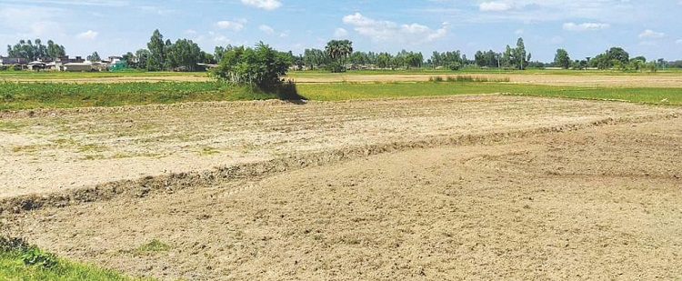 पानी नपर्दा धानको ब्याड राख्न ढिलाइ
