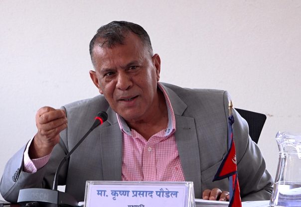 शिक्षा क्षेत्रमा देखिएका विकृति हटाउन सरकार गम्भीर बन्नुपर्ने : सभापति पौडेल (भिडियो सहित) शिक्षा क्षेत्रमा देखिएका विकृति हटाउन सरकार गम्भीर बन्नुपर्ने : सभापति पौडेल (भिडियो सहित)