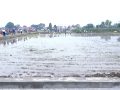 धान खेत जोगाउन नसके भविष्यमा खाद्य सुरक्षामा संकट आउनसक्छ : कृषि सचिव मिश्र