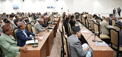 अभौतिक सांस्कृतिक सम्पदा (संरक्षण) विधेयक, २०८३ माथि विचार गरियोस् प्रस्ताव स्वीकृत
