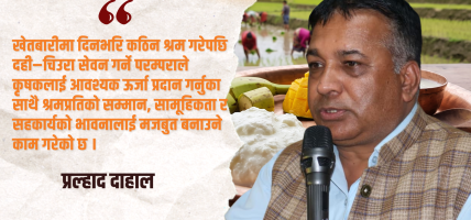 दही–चिउरा : कृषि संस्कृति, पोषण सुरक्षा र स्वदेशी अर्थतन्त्रको आधार