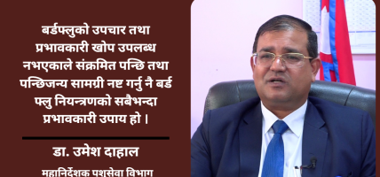 बर्ड फ्लुको हटस्पट बन्दै काठमाडौं उपत्यका, ६० करोड रुपैयाँभन्दा धेरैको क्षति : डा. उमेश दाहाल