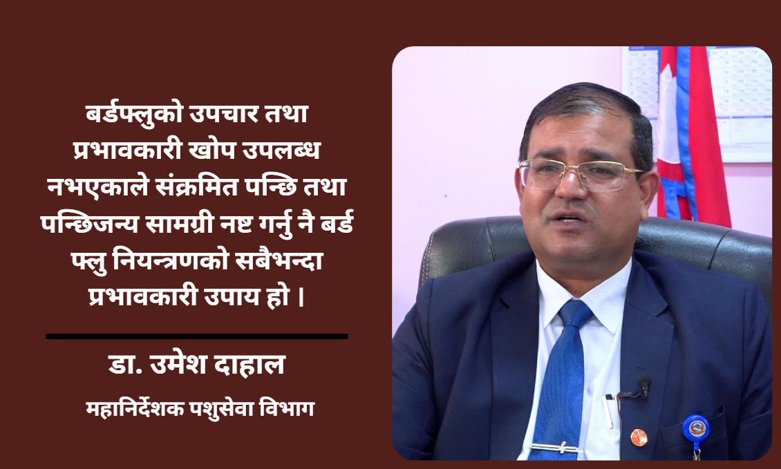 बर्ड फ्लुको हटस्पट बन्दै काठमाडौं उपत्यका, ६० करोड रुपैयाँभन्दा धेरैको क्षति : डा. उमेश दाहाल (भिडियो सहित)